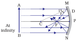 concave mirror focus