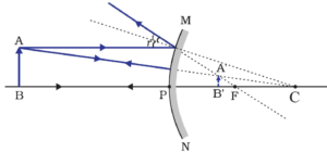 convex object at any point on principal axis